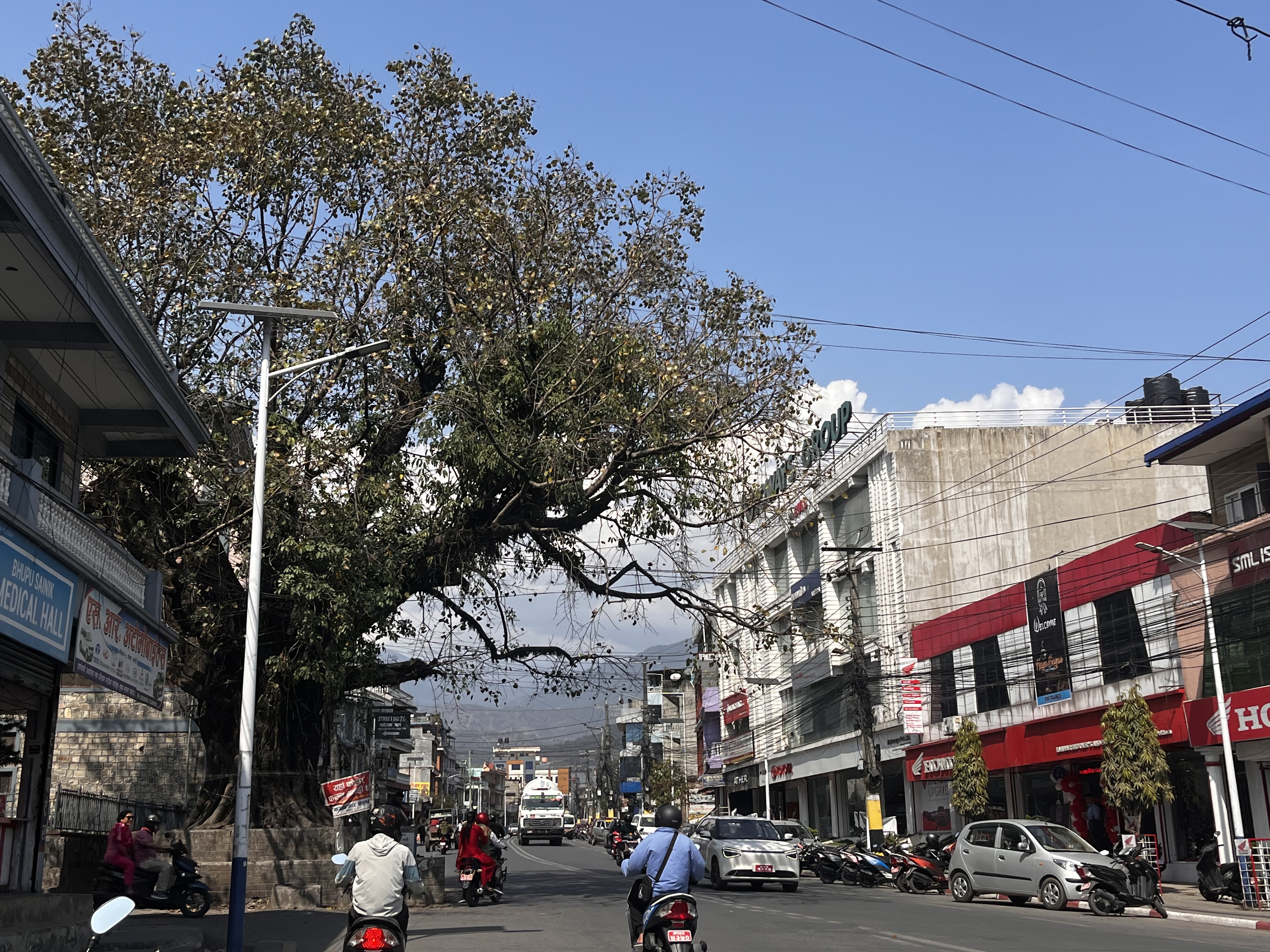 bar pipal pokhara (14).JPG